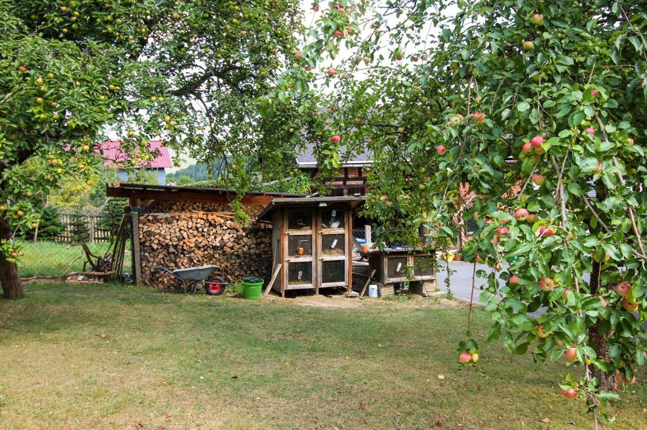 Hotel Haus Sonnenwalde - Familie Ruhe Rohrbach  Zewnętrze zdjęcie